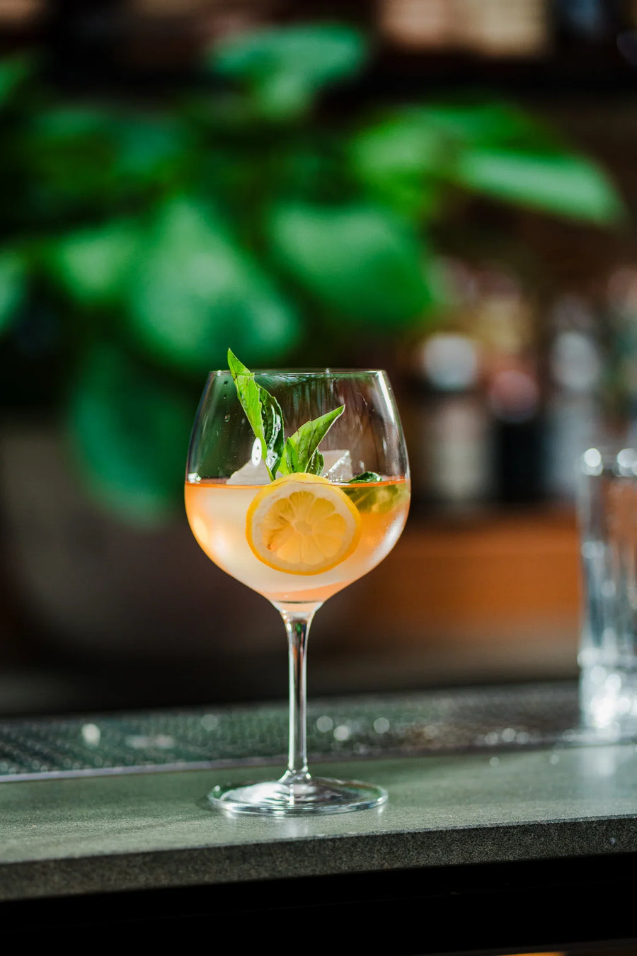 Gin & Tonic