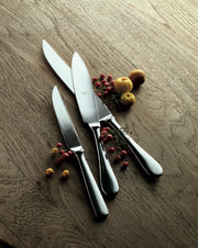 Mepra American Ice Steak Knife Set 4-Piece 18/10 Stainless Steel 10002244I
